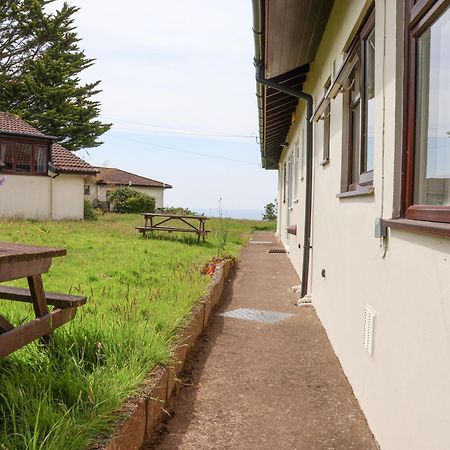 Seaweed Sidmouth Exterior foto