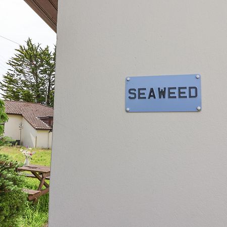 Seaweed Sidmouth Exterior foto