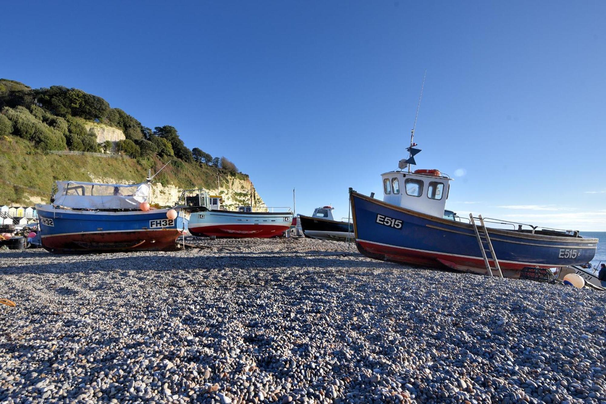 Seaweed Sidmouth Exterior foto