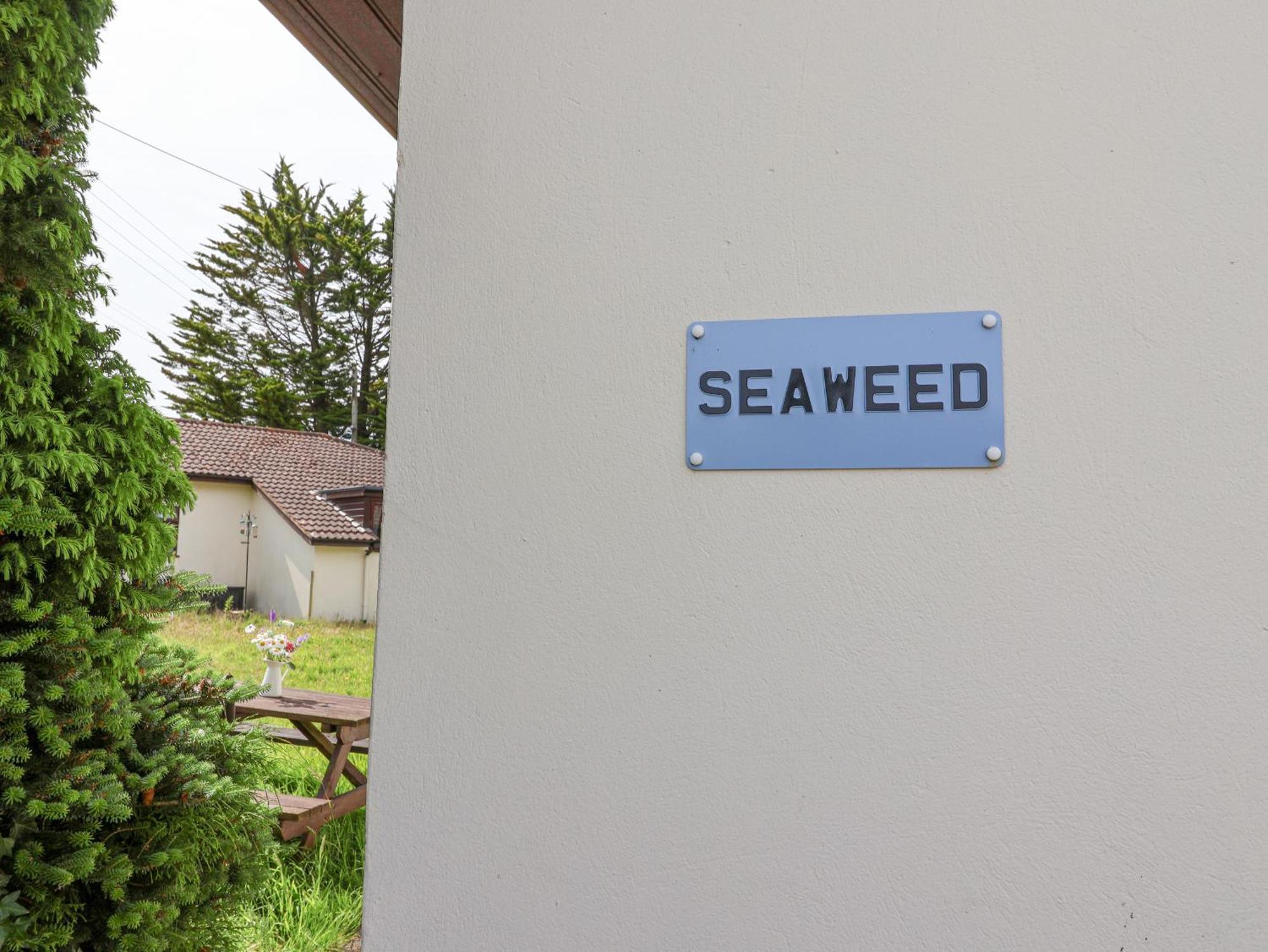 Seaweed Sidmouth Exterior foto